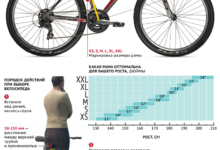 Photo of Основные критерии выбора городского велосипеда с корзиной
