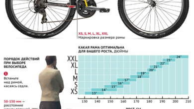 Photo of Основные критерии выбора городского велосипеда с корзиной